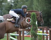 Polesello Panama Tame CsioArJYR SS7 8336 : CSIO Giovani Arezzo, Panama Tame, Polesello Luigi, foto Stefano Secchi ©